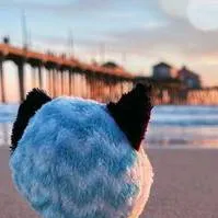 chat with ai character: show images