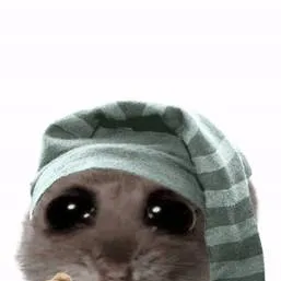 chat with ai character: sad hamster 