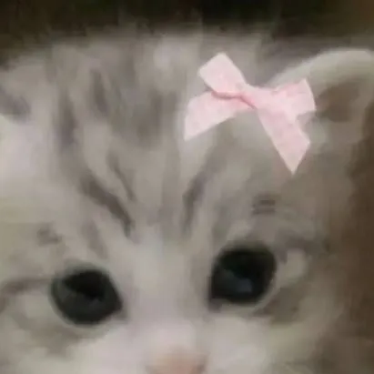 chat with ai character: kitty 