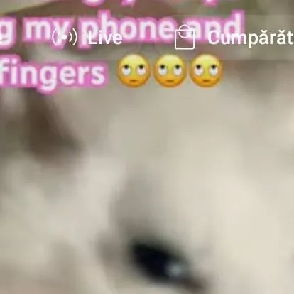 chat with ai character: hamster