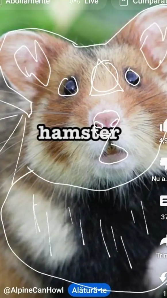 ai character: lil hamster background
