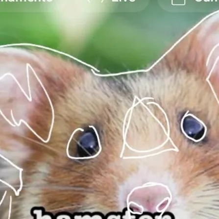 chat with ai character: lil hamster