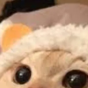 chat with ai character: ur kitty cat