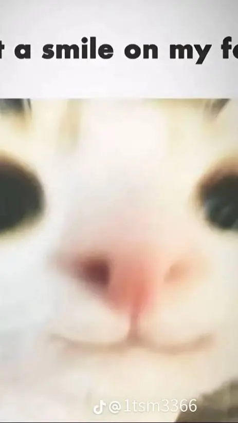 ai character: tombstone squad  background