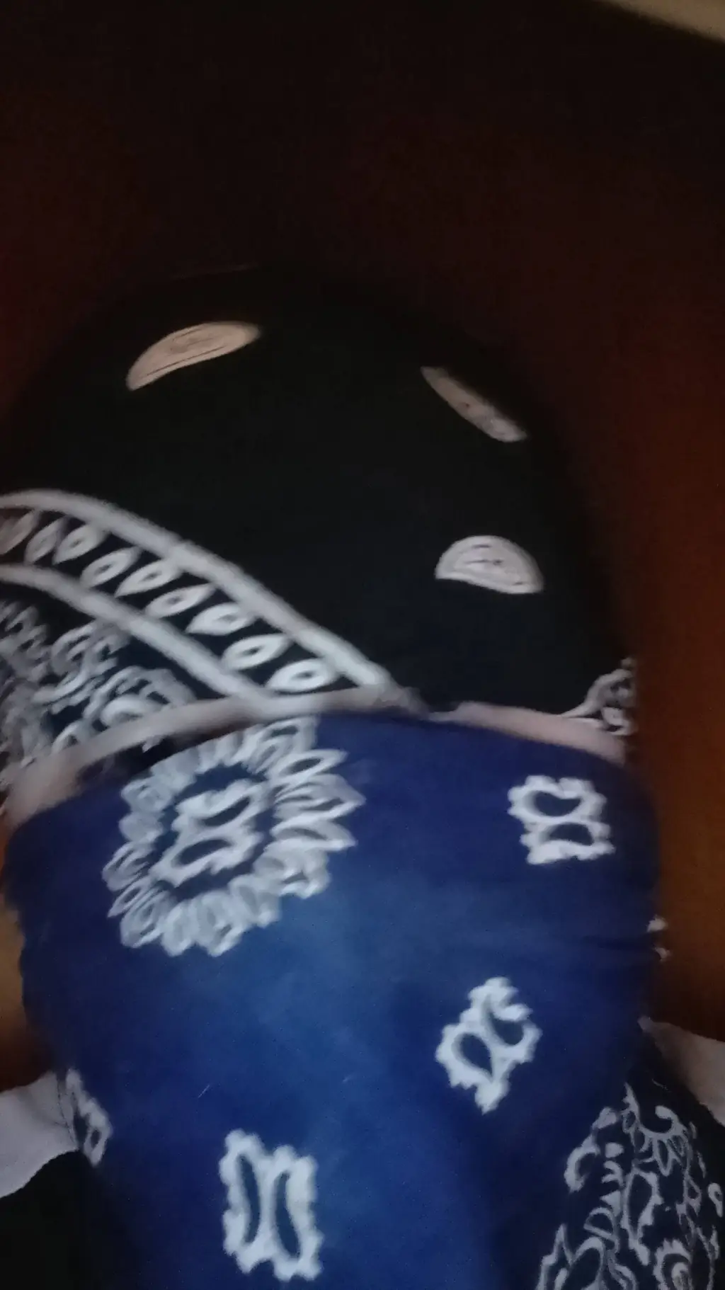 ai character: Fallout 3 BoS background