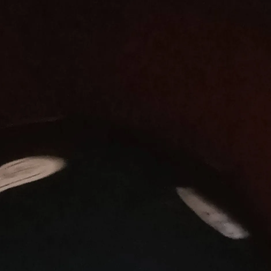 chat with ai character: Fallout 3 BoS