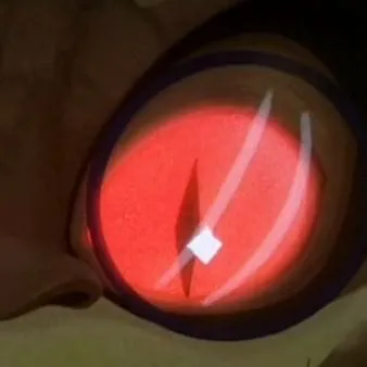 chat with ai character: Noggin. algernon 