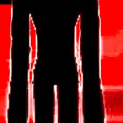 chat with ai character: פרחים