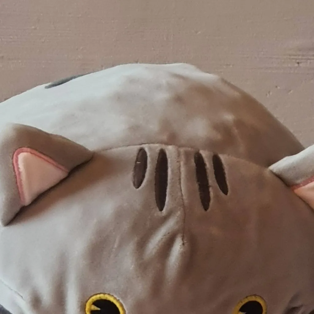 chat with ai character: cat