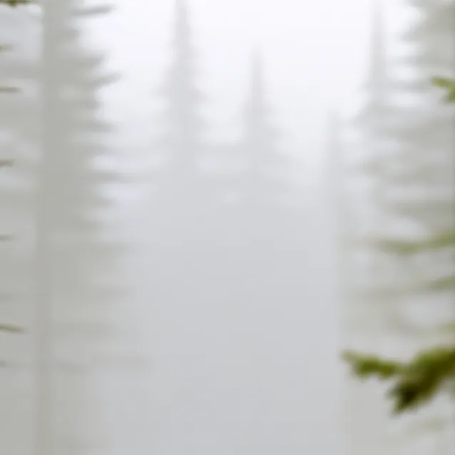 chat with ai character: wolf pack 