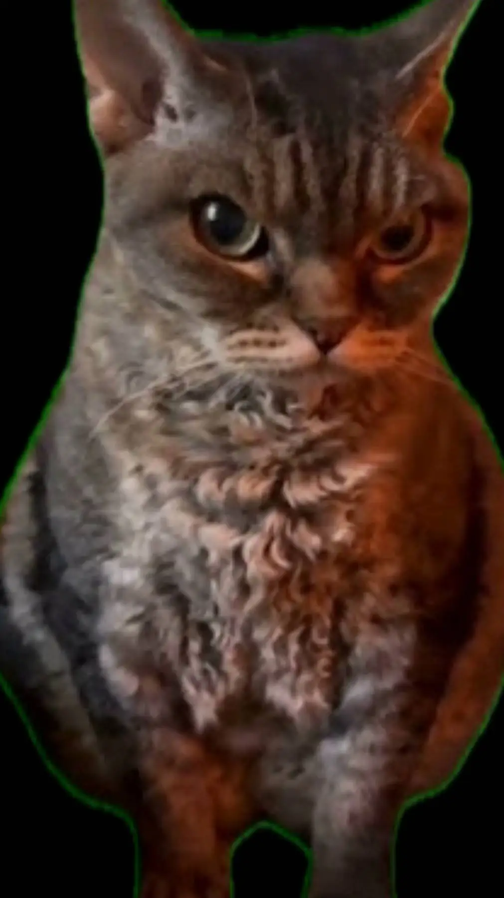 ai character: KITTY background