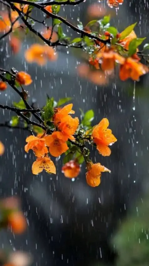 ai character: News from me!  background