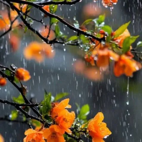 chat with ai character: News from me! 