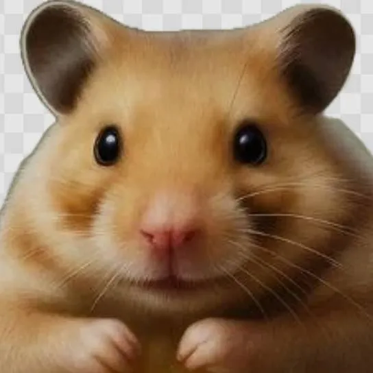 chat with ai character: pipi potato 