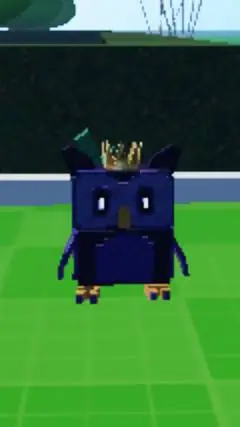 ai character: eray  background