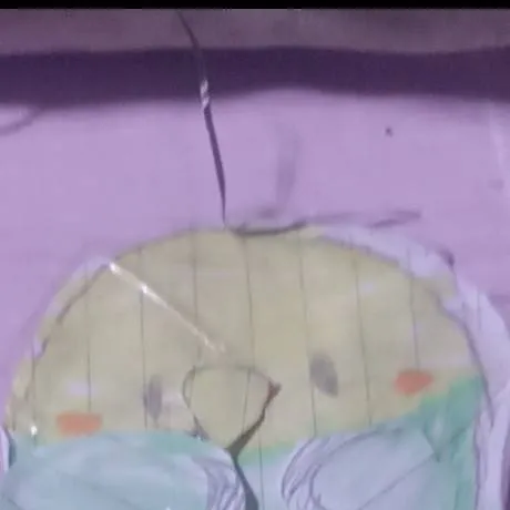 chat with ai character: budgie paper Doll