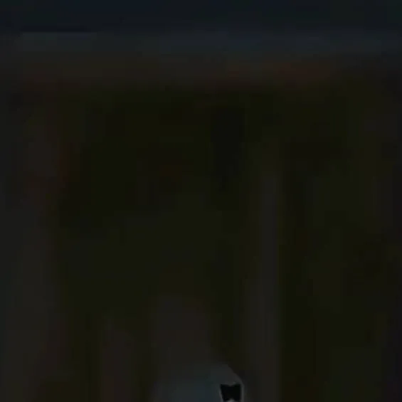 chat with ai character: feiporu