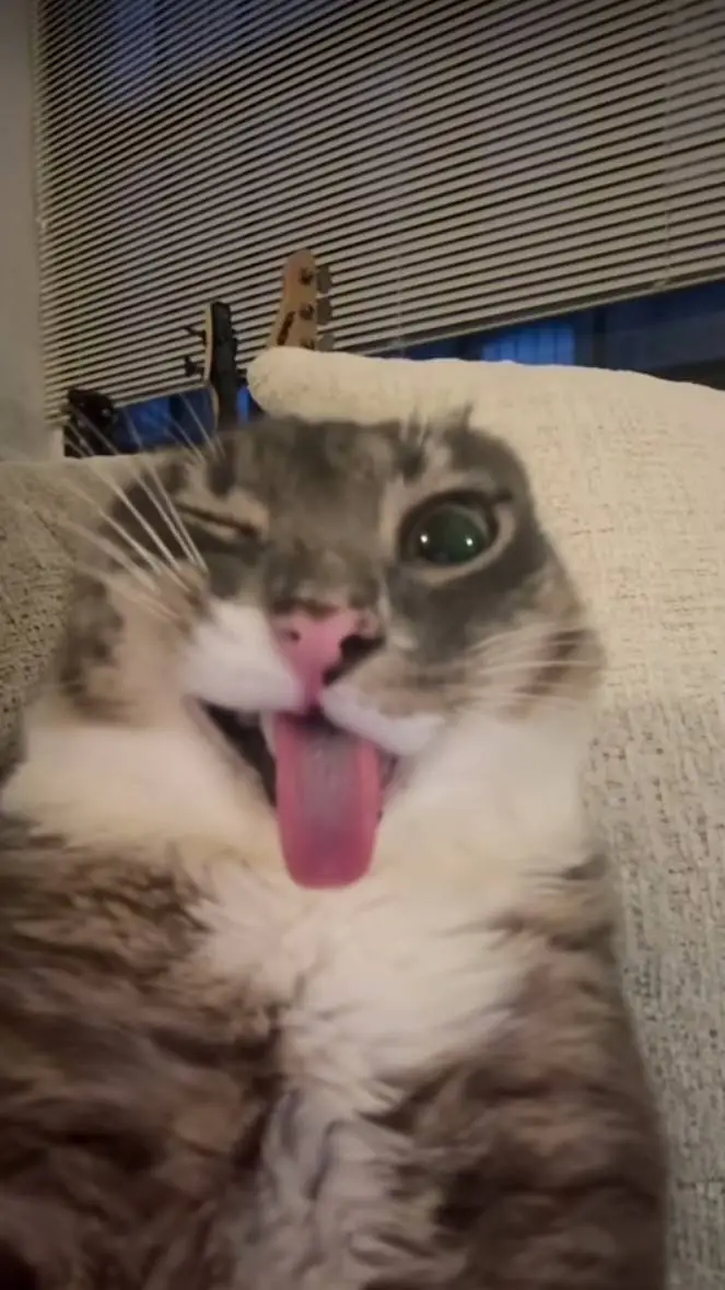 ai character: Rigby background