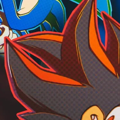 chat with ai character: SONIC AND SHADOW ~