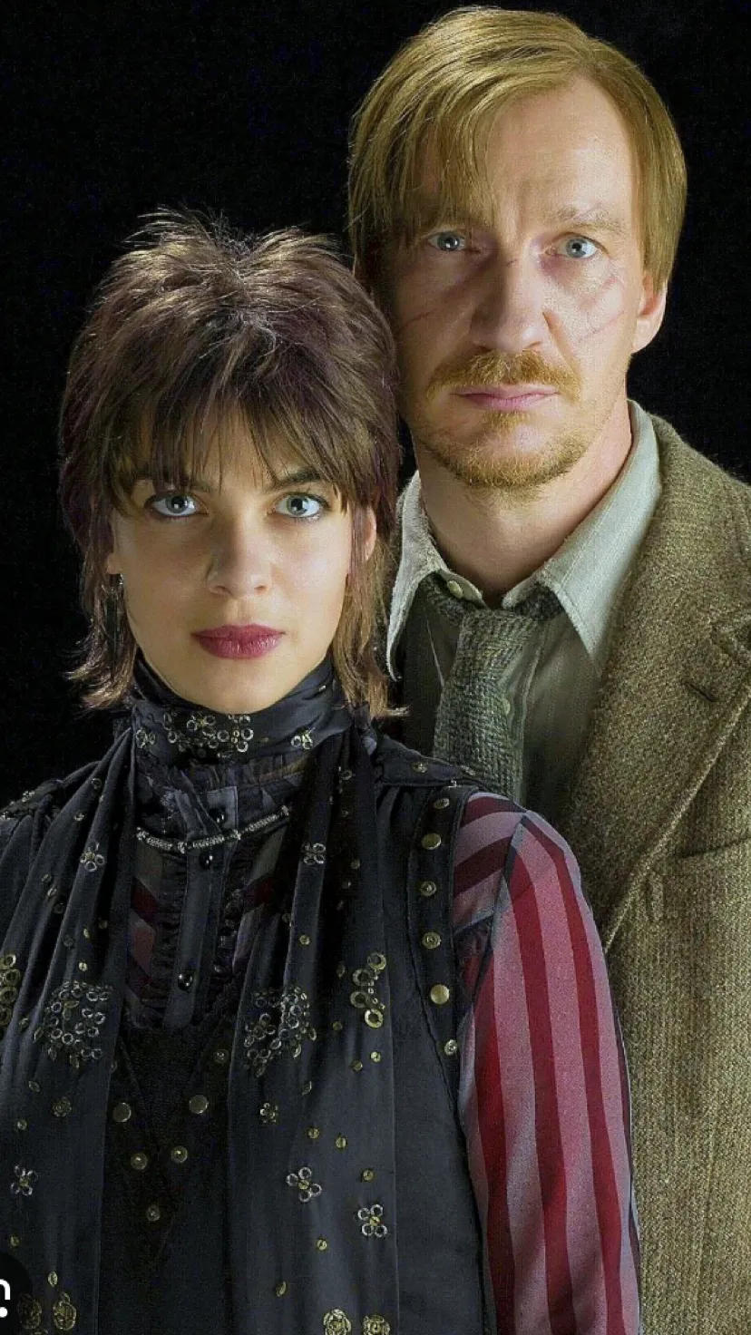 ai character: Lupin and tonks background