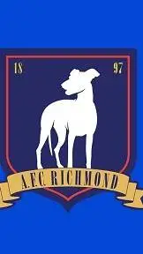 ai character: AFC Richmond background