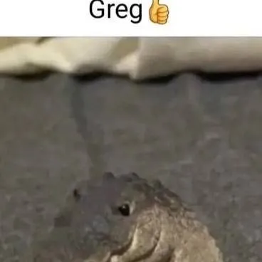 chat with ai character: Greg👍