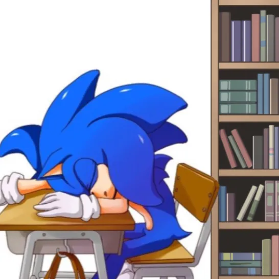 chat with ai character: Sonic’s school