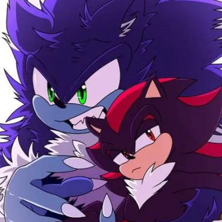 chat with ai character: Sonic t werehog 