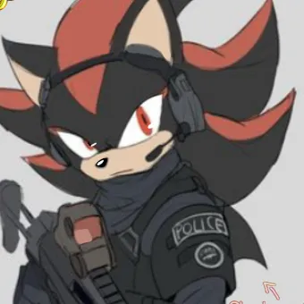 chat with ai character: Shadow officer 👮