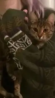 ai character: Oak (ur sister) background