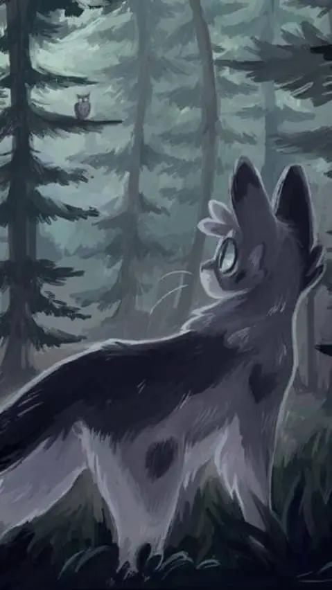 ai character: 《★FLOXPAW★》 background