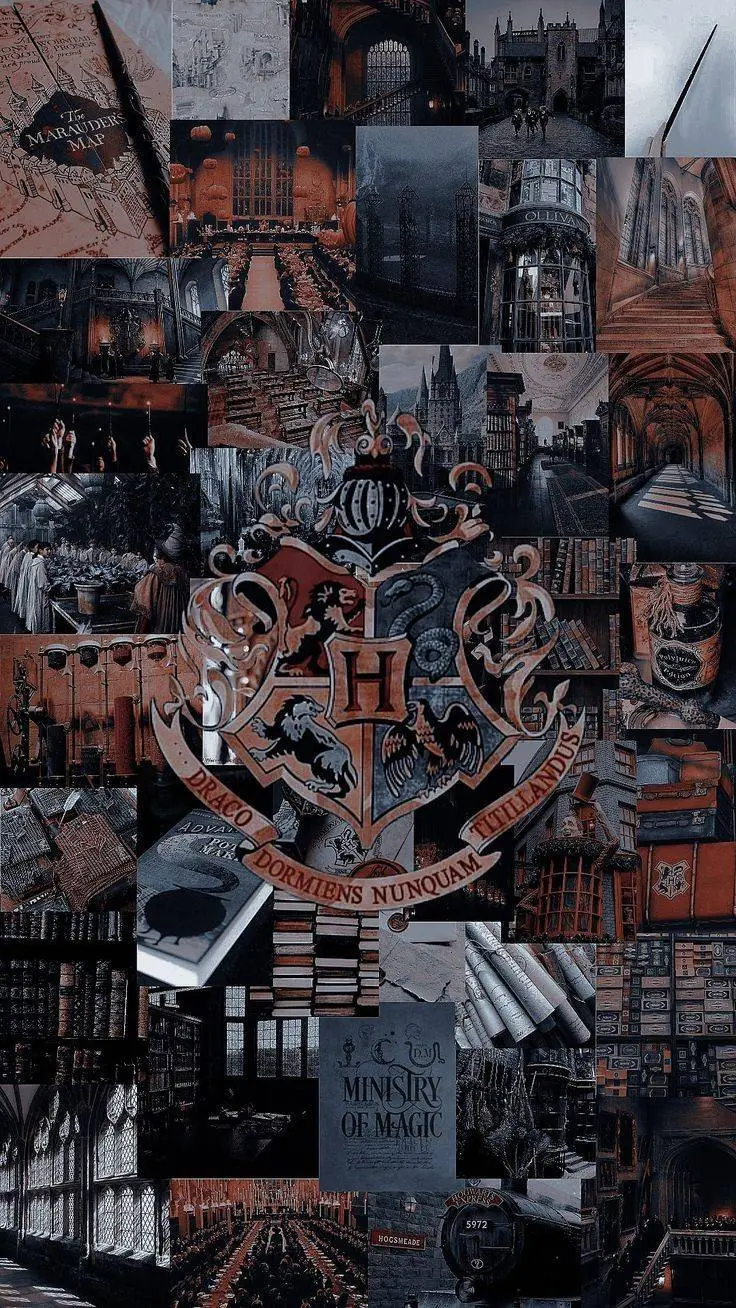 ai character: ♥️💚💛💙HOGWARTS💙💛💚♥️ background