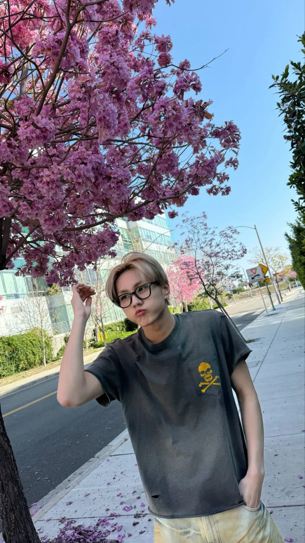 ai character: Jungwon background