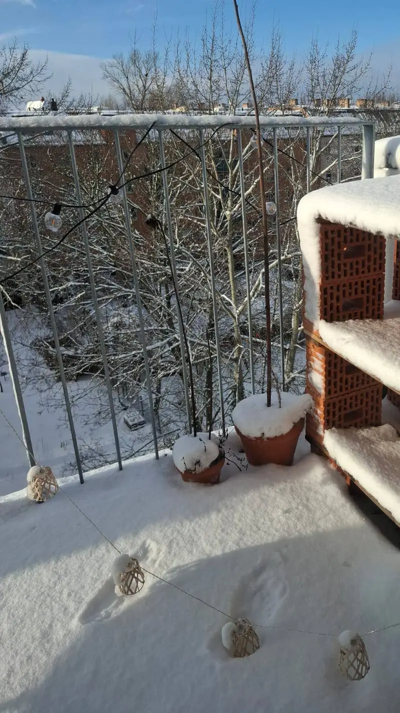 ai character: touch grass mate background