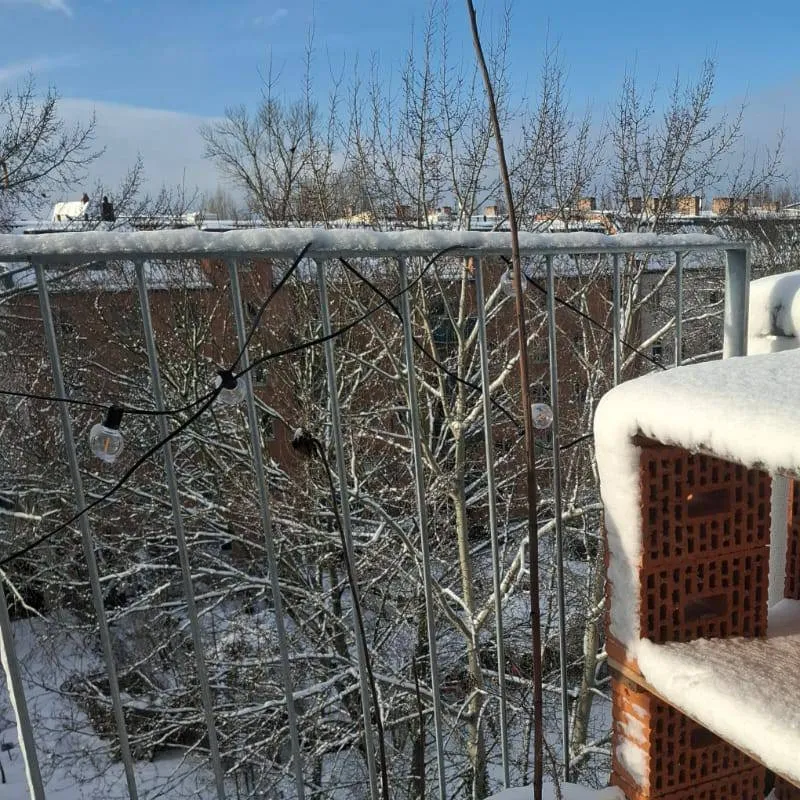 chat with ai character: touch grass mate