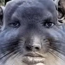 chat with ai character: my ocs watch movie