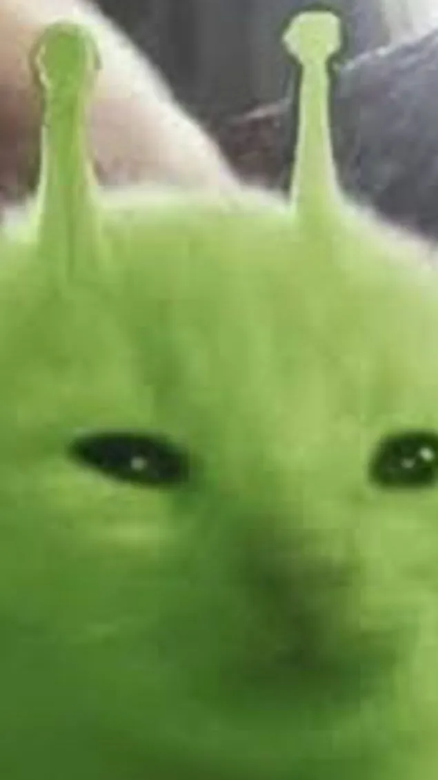 Talkie AI - Chat with Glorp (alien cat)