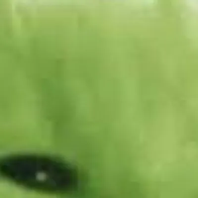 chat with ai character: Glorp (alien cat)