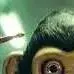 chat with ai character: The monkey
