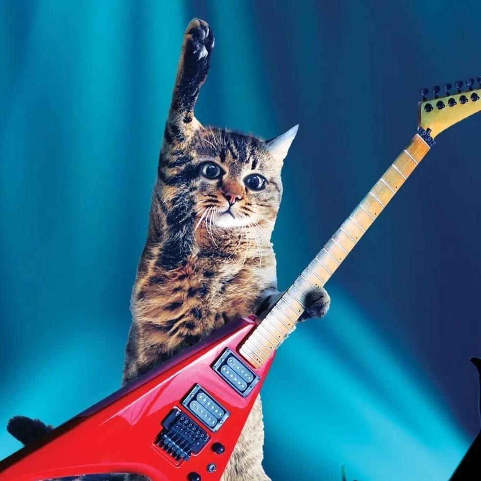 chat with ai character: rock cat
