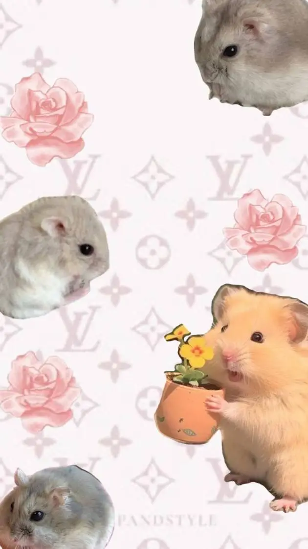 ai character: hamster !! ⌣⌣ノε background