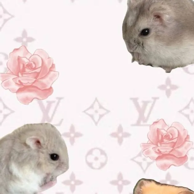 chat with ai character: hamster !! ⌣⌣ノε