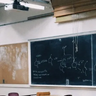 chat with ai character: School