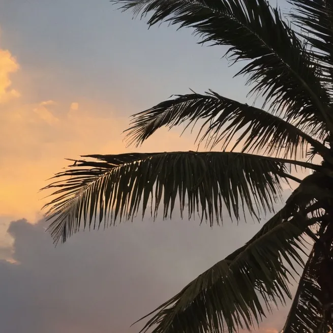 chat with ai character: MHA + FPE TRIP