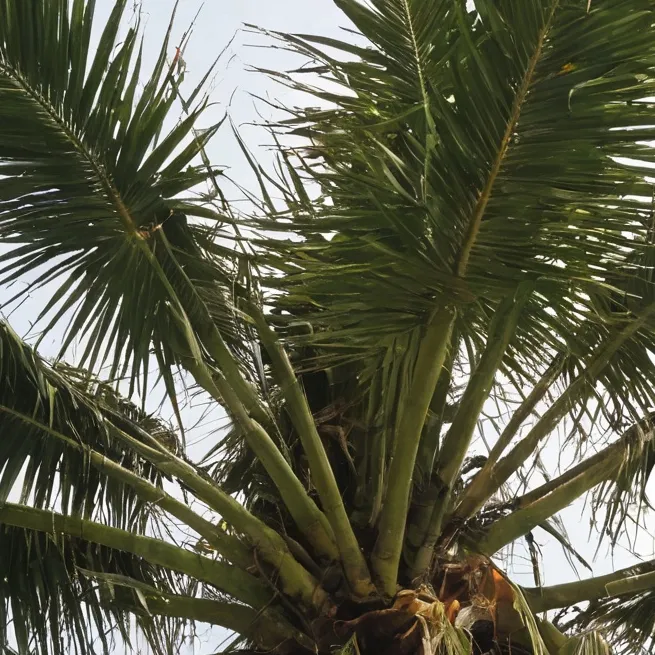 chat with ai character: With Kenji