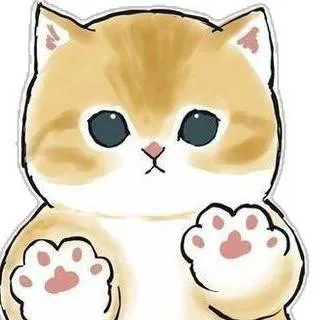 chat with ai character: shark cat! 