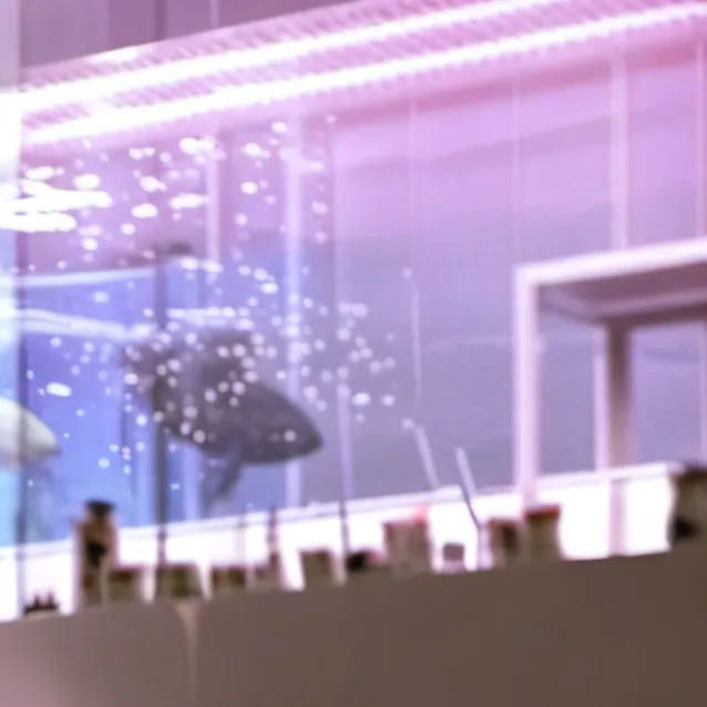 chat with ai character: Pickme Dandysworld