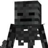 chat with ai character: Wither skeleton