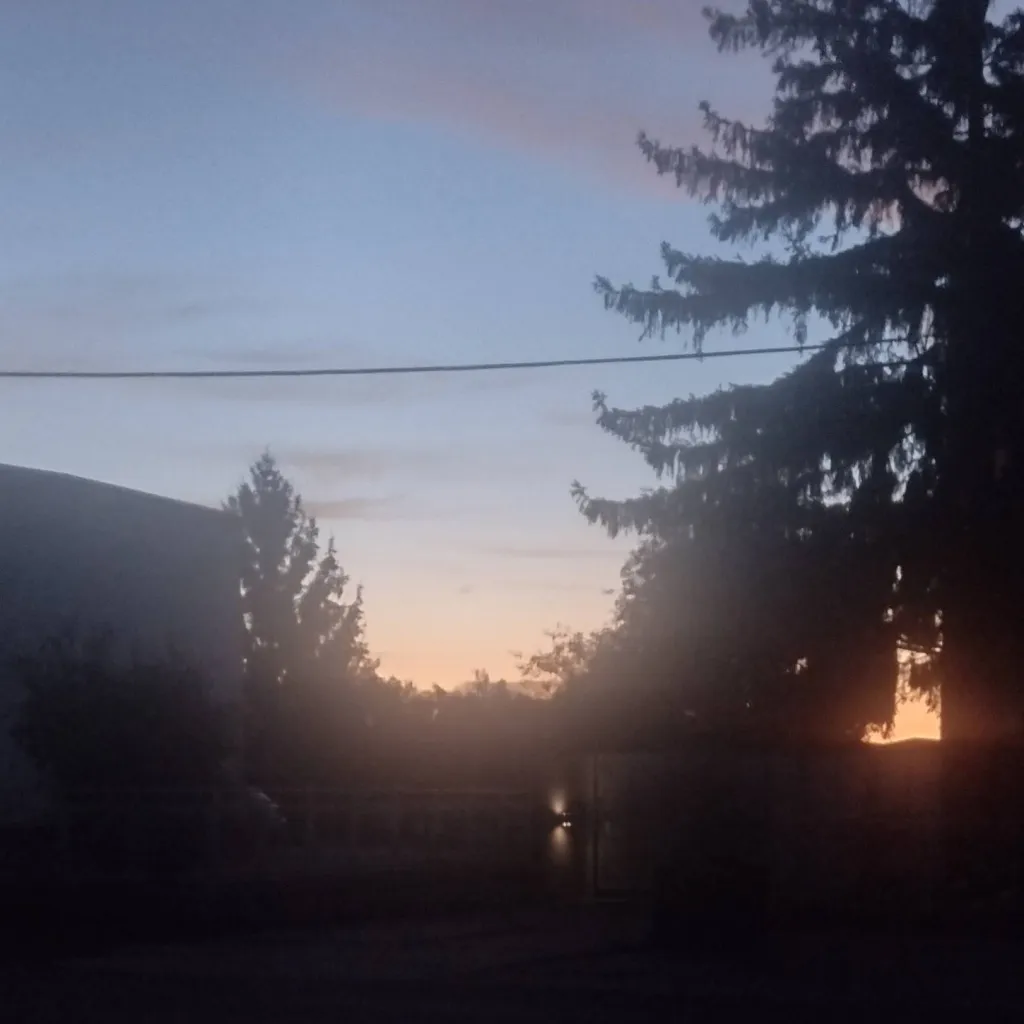 chat with ai character: what you want 