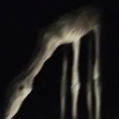 chat with ai character: a horse at night